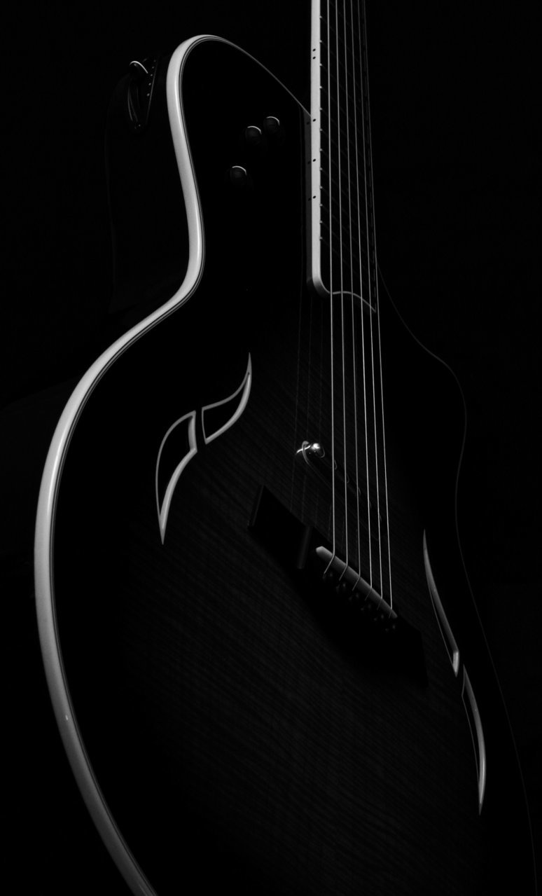Taylor T5-S.jpg