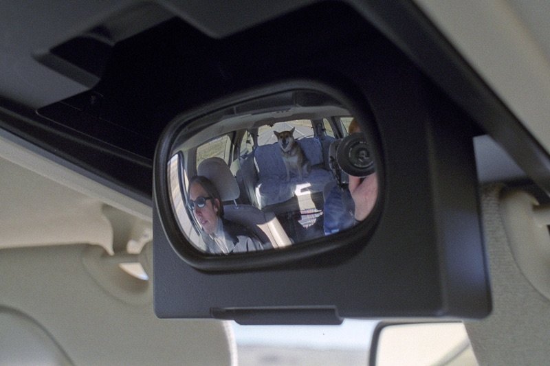 taz_backseat_mid.jpg