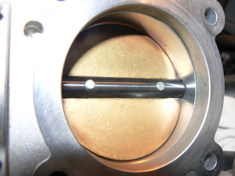 TB Rear After 2.jpg