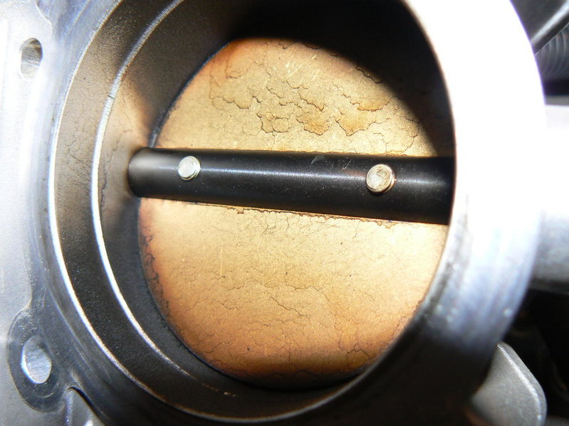 TB Rear Before 3.jpg
