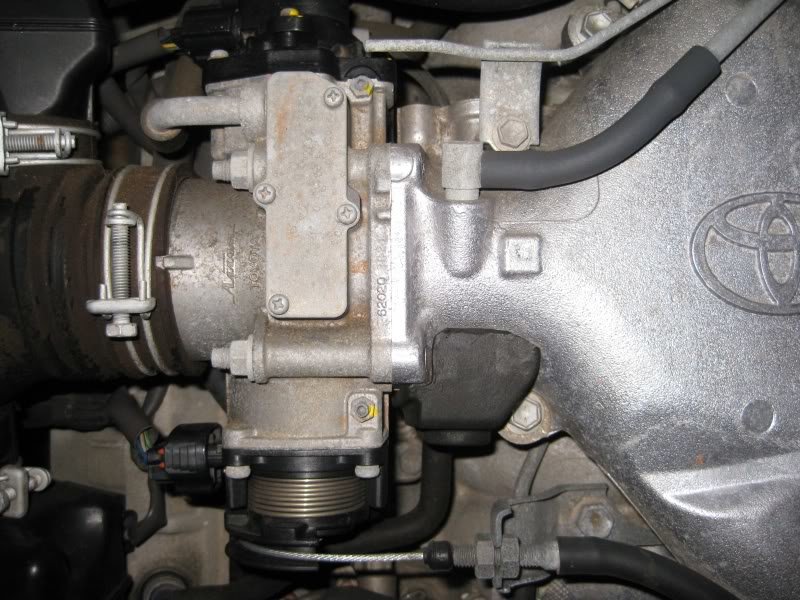 Tbody008_a0f76e5fc593b56afcc7c23e812e88b978989872.jpg