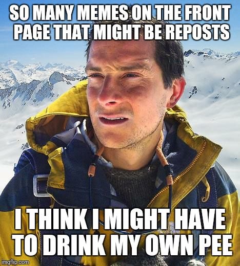 tbqv5.jpg