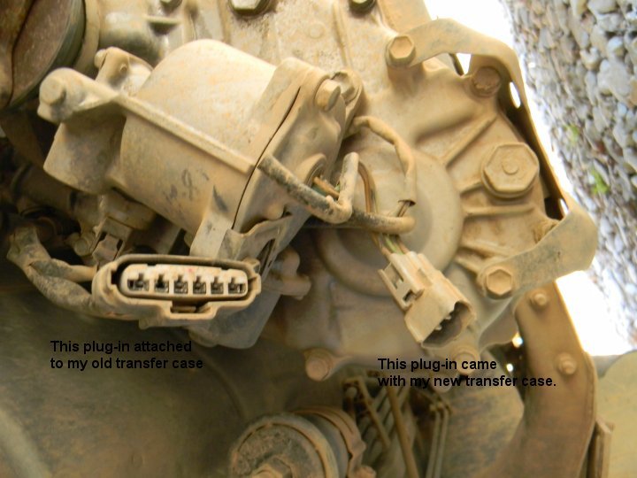 tc.jpg