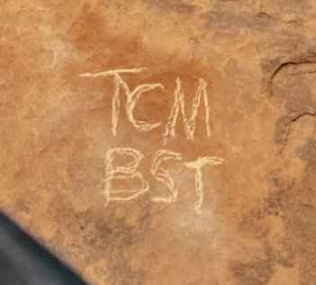 TCM BST.jpg