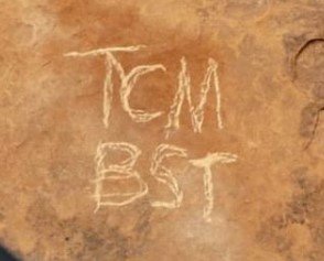 tcm small.jpg