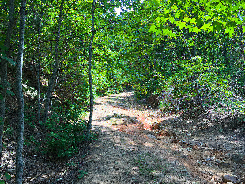 tdtrailcondition_zpse9wwxqmn_600146b29a80b45eb2bfc863ac2633ed4c6d2ae3.jpg