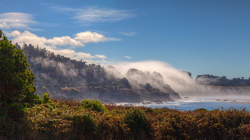 team-wiking-2-mendocino-county-california-Floyds-Noise-1.jpg