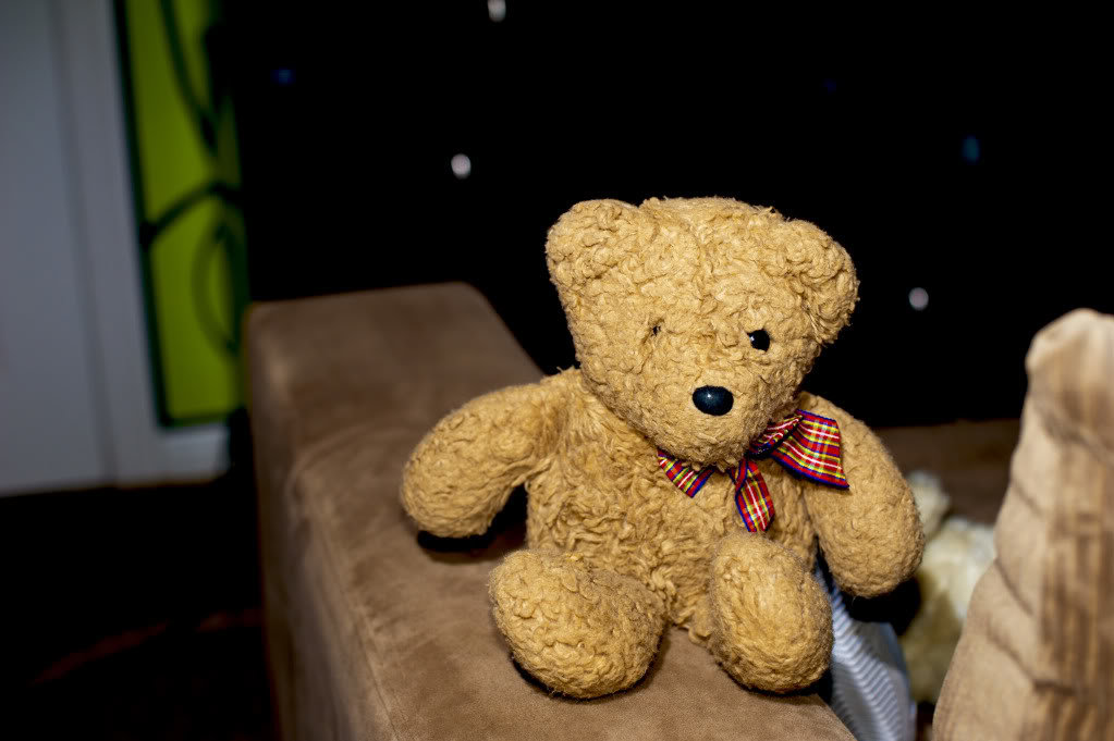 teddytoucheduncroppedraw1-1_5394c873bf6e99dba2ad21a62a5f5b0cda13d685.jpg