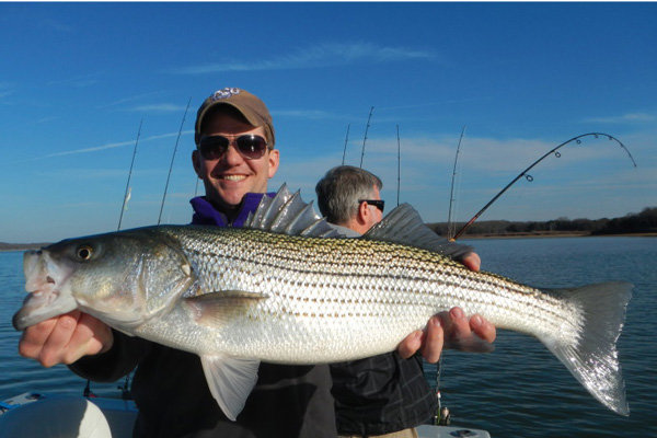 tedford-lake-texoma-striper-fishing-.jpg