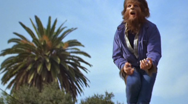 teen-wolf-3.jpg