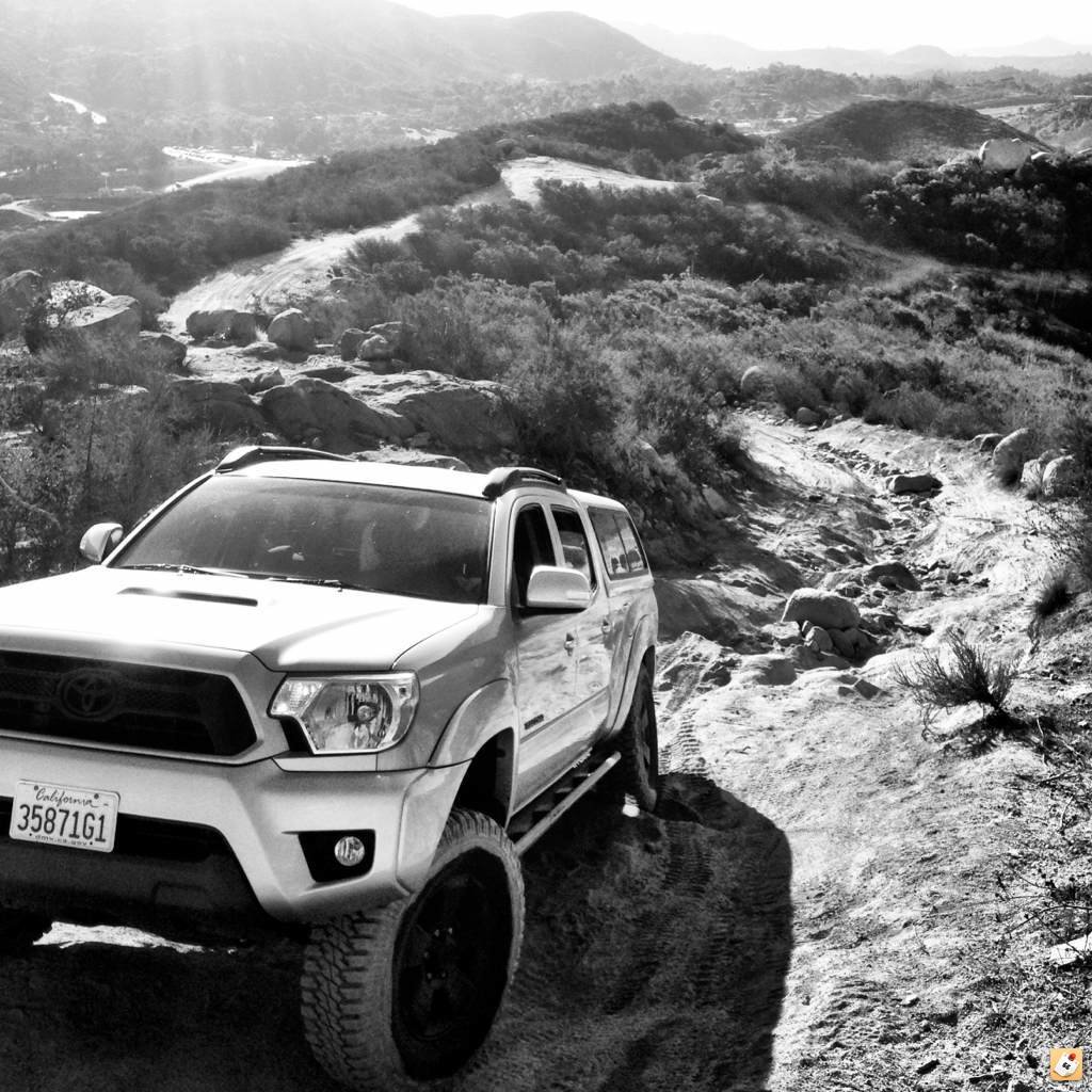 tejaguje_17089220edf428b2ab99f4d3c3a312984306cc2b.jpg