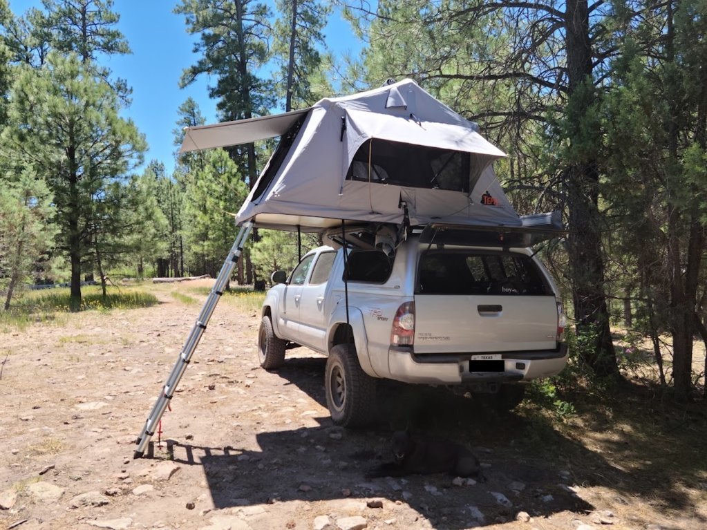 tent1.jpg