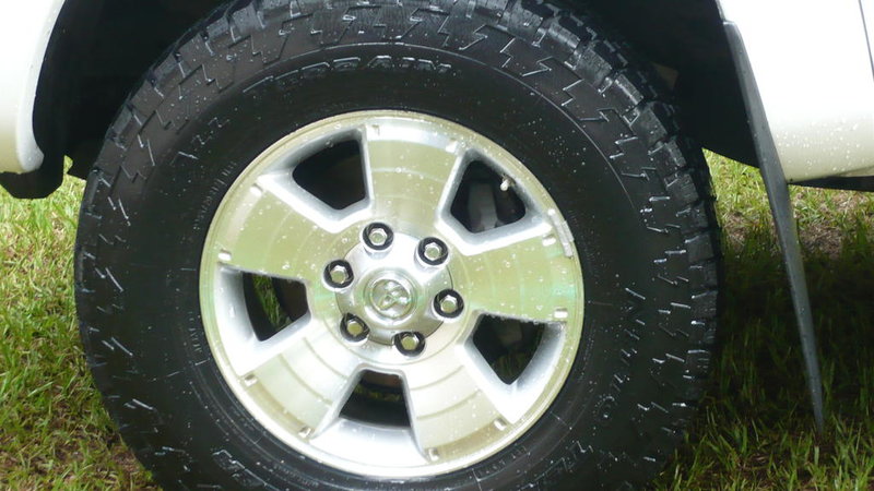 Terra-Grapplers closeup.jpg