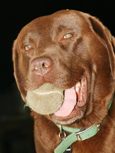 test1_c0dee4c7cf76ce7d9303650cfdb2f650a7ea9f7e.jpg