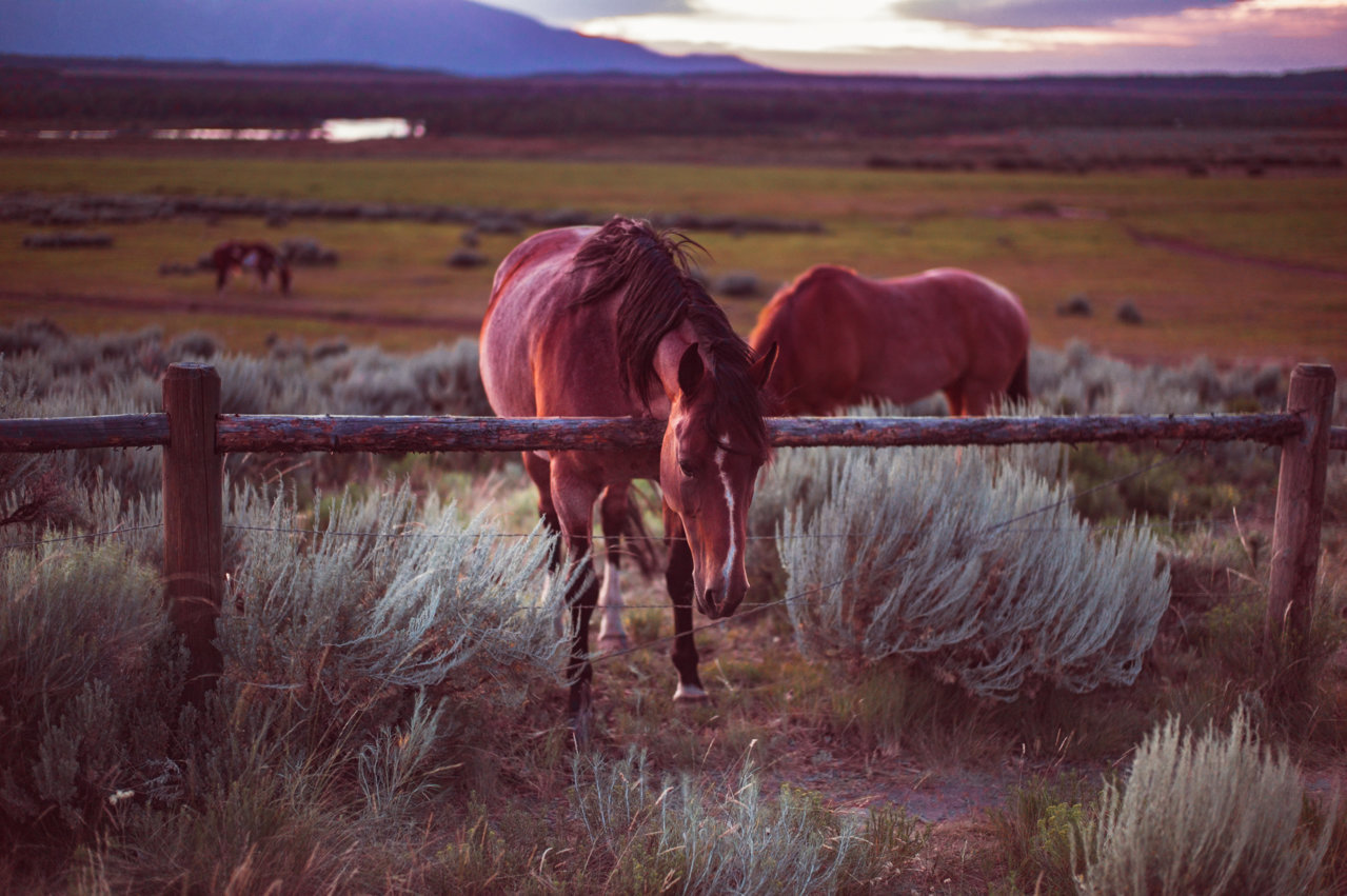 tetons009.jpg