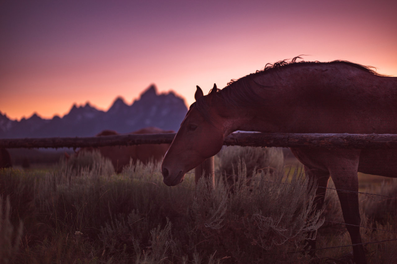 tetons013.jpg