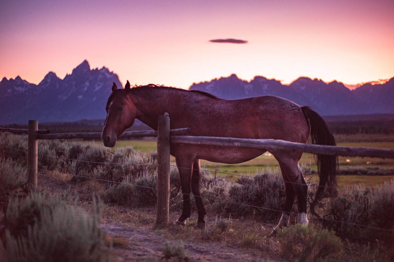 tetons015.jpg