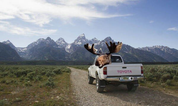 tetonstoy-picsay.jpg