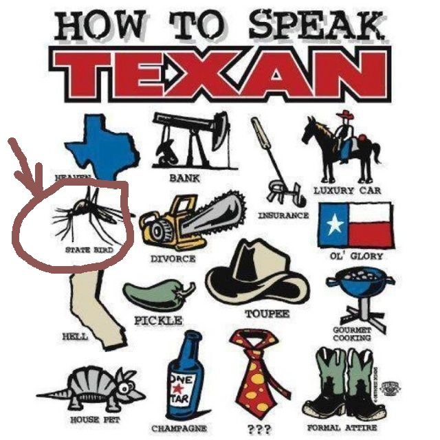texas14.jpg