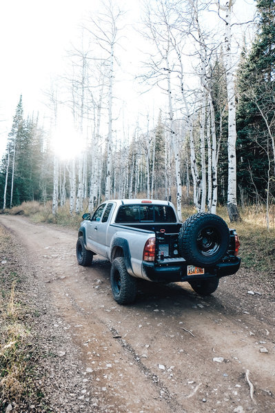 TG VT Tacoma Trees lowRes.jpg