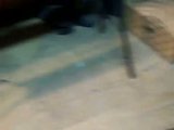 th_100_1271_733eb2769a9d64eb144251705258da1d929b6a3f.jpg