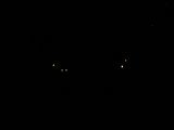 th_100_2252_807ce23ba5735906fe560a7b607d9ff7c0b91220.jpg
