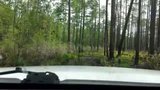th_20140510_121855_zpsuknk8yu3_22a54f3b7de374dac11a9259bdf6abf3e75e278a.jpg