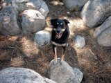 th_BigBear0700009_b2f21bac84963aee4e9028492005809b7e2531c3.jpg