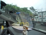 th_DSCN2292_d5b31292d9f6f38cc23e277fe16510ed6cbd192e.jpg