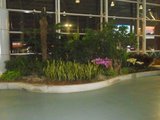 th_DSCN2307_b419f2e1df39dc3649c2cf7542341da7f977de42.jpg
