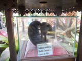 th_DSCN2419_bfcea6cf6c1aa547545200bd0fbe37cc9c4e5667.jpg