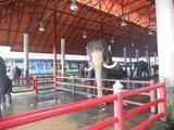 th_DSCN2459_416b831258fbd04c244a7e5b40d15712d52e9a4a.jpg