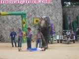 th_DSCN2557_f49c99816f2bfa1fb786e30843229897e9b744c2.jpg