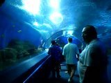 th_DSCN2649_e322d4c1ada5cd5e0ab9de02c9055e4673b8a3a0.jpg