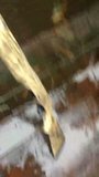 th_ED835C9D-1182-4FB8-A7ED-69AAFC332812__3ace4a490ea0998f1250bb2b087129f60f658e3a.jpg
