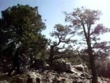 th_MOV03302_zps543b9b3d_138edbdf1f330dc1e4407ae76731ca2db5062bcd.jpg