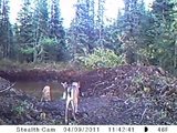 th_PICT0061_f7458559f3ca55f3a459a290b42809eb0e89fbbd.jpg