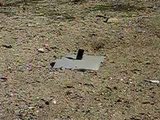 th_TacomaSaltRiver006_ff9789360680b9036d46a6794216f827b1c314b4.jpg