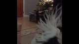 th_Teddy%20Flys_zpsrbhxzwnt_959c32c0985484d4dd3d97c6c66a63eac7b33212.jpg