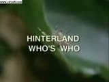 th_TheWoodSpider_kb2_e5c7e03c98a6bd66a758ccfd9c9f6bf626a85550.jpg