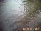 th_Trout_bc31a53c258b76785064418082d562282eba60f3.jpg