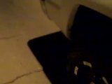 th_VID00003_fc137afe441c12728e588ebef0105f95895ac2f1.jpg