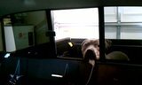 th_VIDEO0009_205dbdb1bae64e0bdd8a28903c810cba656dc5f6.jpg