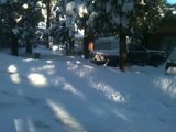 th_whatsnow_189d08fc4990e206ed4cf96f74b94172d859da22.jpg