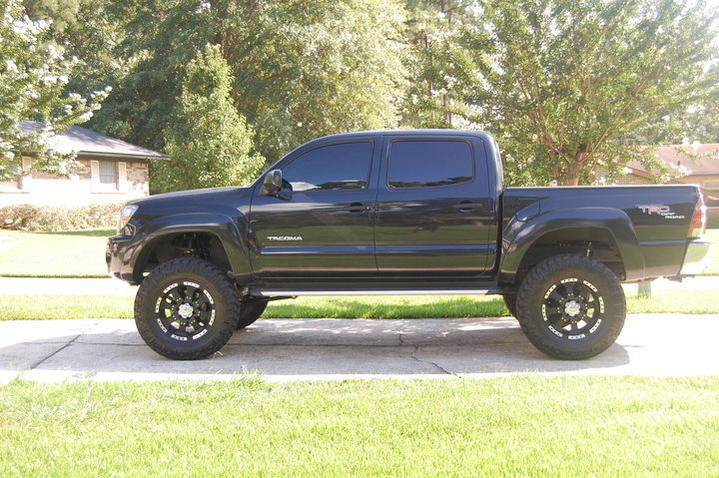 tha whip.jpg