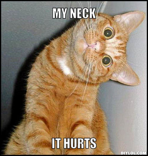 thank-you-cat-meme-generator-my-neck-it-hurts-91d464.jpg