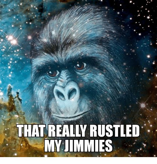 that-really-rustled-my-jimmies-26914339.jpg