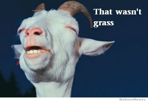 that-wasnt-grass.jpg