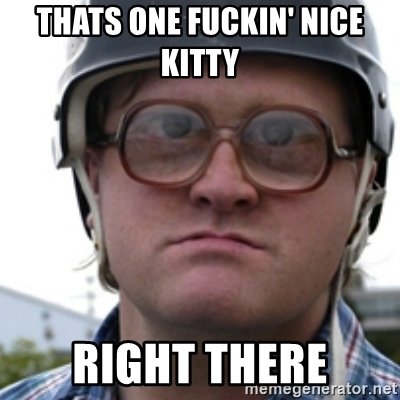 thats-one-fuckin-nice-kitty-right-there.jpg