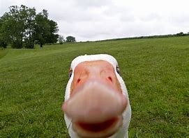 thDY6Z6PX8.jpg